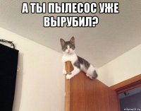 а ты пылесос уже вырубил? 