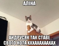 аліна андрусяк так ставе свого кота хххахахаахах