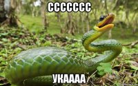 ссссссс укаааа