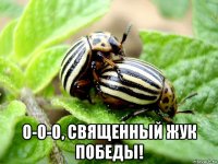  о-о-о, священный жук победы!