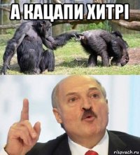 а кацапи хитрі 