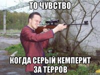 то чувство когда серый кемперит за терров
