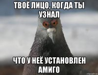 твоё лицо, когда ты узнал что у неё установлен амиго