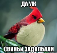да уж свиньи задолбали