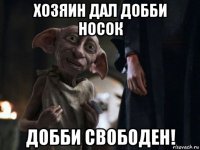 хозяин дал добби носок добби свободен!