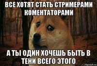 все хотят стать стримерами коментаторами а ты один хочешь быть в тени всего этого