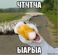 чтчтча ыарыа