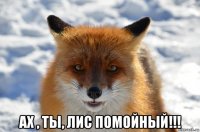  ах , ты, лис помойный!!!