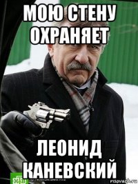 мою стену охраняет леонид каневский