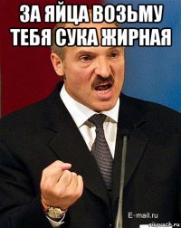 за яйца возьму тебя сука жирная 