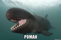  роман