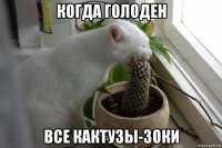 когда голоден все кактузы-зоки