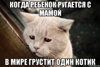 когда ребенок ругается с мамой в мире грустит один котик
