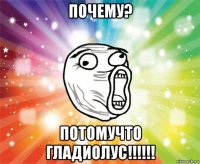 почему? потомучто гладиолус!!!!!!