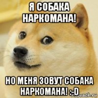 я собака наркомана! но меня зовут собака наркомана! :-d