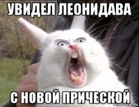 увидел леонидава с новой прической