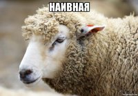 наивная 