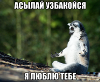 асылай узбакойся я люблю тебе