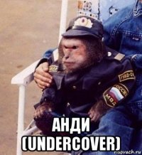  анди (undercover)