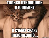только отключили отопление в сумах сразу похолодало....