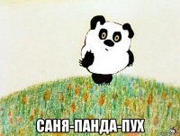  саня-панда-пух