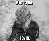 вот сука. есуке