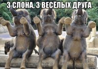 3 слона, 3 весёлых друга 