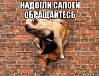 надоїли сапоги обращайтесь 