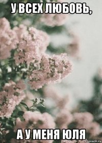 у всех любовь, а у меня юля