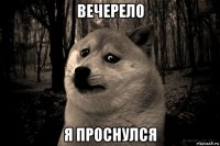 вечерело я проснулся