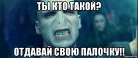 ты кто такой? отдавай свою палочку!!