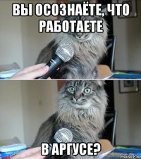 вы осознаёте, что работаете в аргусе?