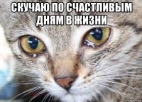 скучаю по счастливым дням в жизни 