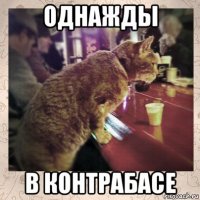 однажды в контрабасе