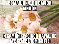 ромашки для самой милой и самой крас вой наташке на всем белом свете!