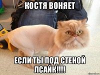 костя воняет если ты под стеной лсайк!!!!