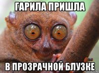 гарила пришла в прозрачной блузке