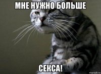 мне нужно больше секса!