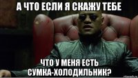 а что если я скажу тебе что у меня есть сумка-холодильник?