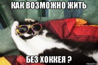 как возможно жить без хоккея ?