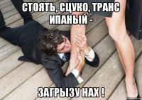 стоять, сцуко, транс ипаный - загрызу нах !