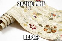 за что мне варн?