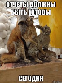 отчеты должны быть готовы сегодня