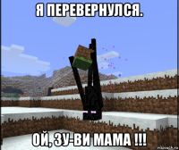 я перевернулся. ой, зу-ви мама !!!
