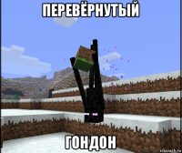 перевёрнутый гондон