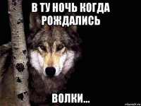 в ту ночь когда рождались волки...