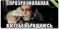 прозрачнолапая, я к тебе обращаюсь