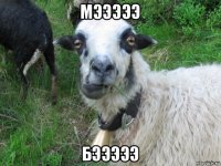 мэээээ бэээээ