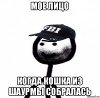 мое лицо когда кошка из шаурмы собралась