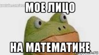 мое лицо на математике